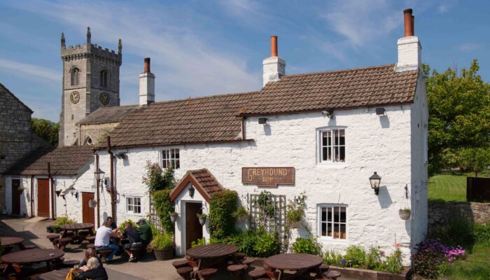 Greyhounds Saxton lr